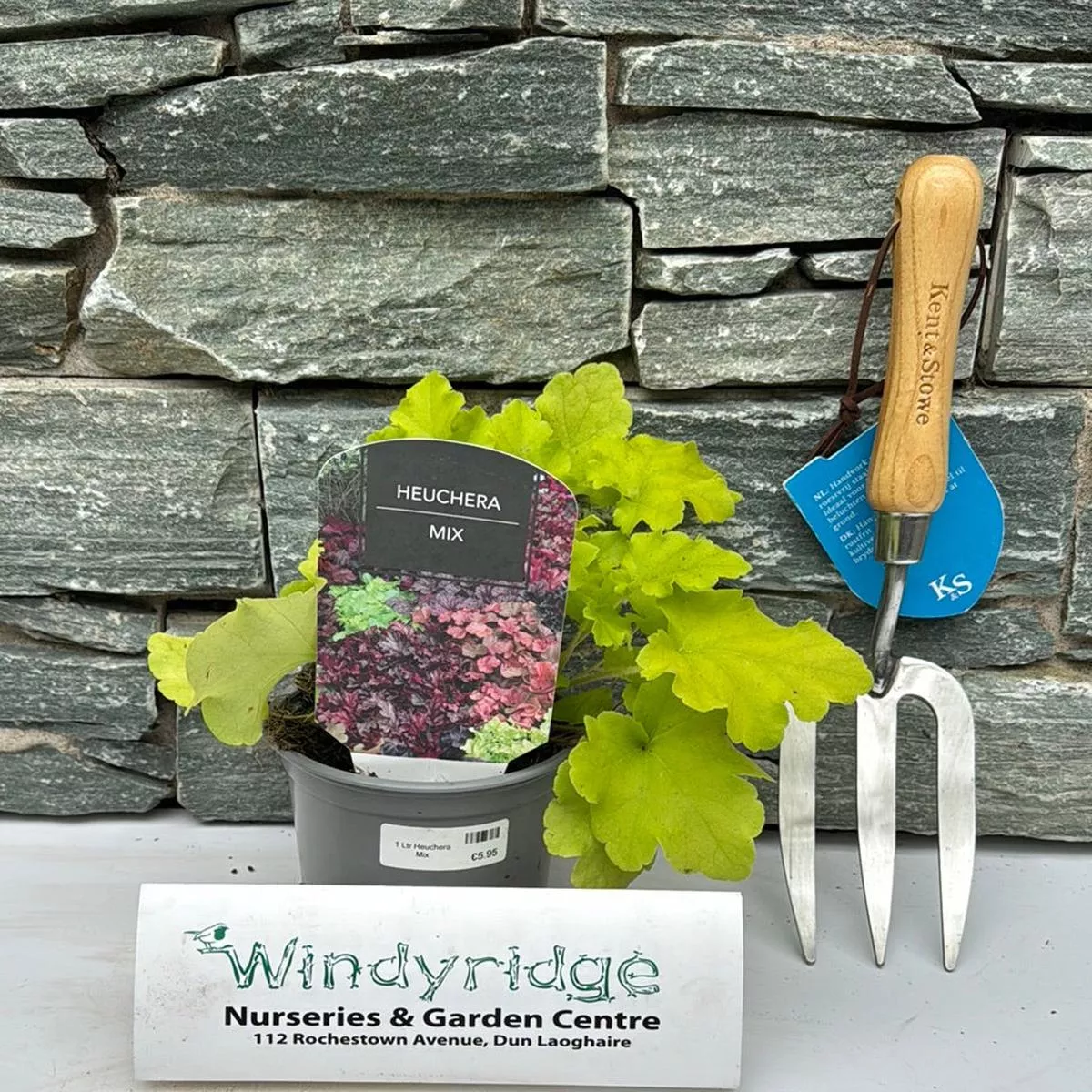 1 Ltr Heuchera Mix
