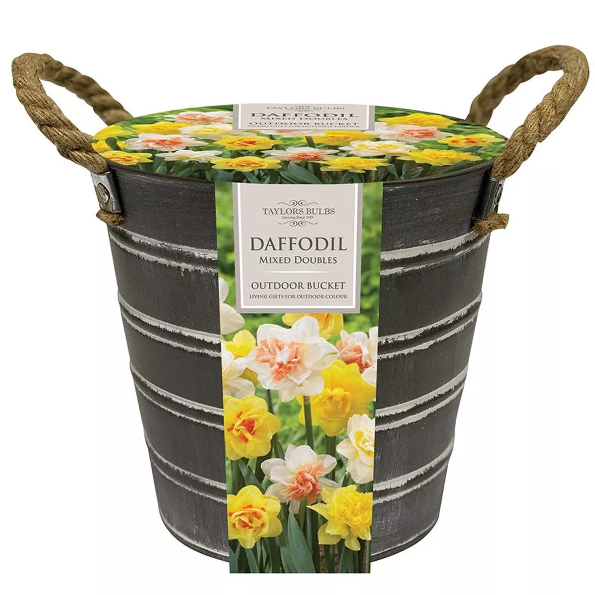 1 OUTDOOR METAL BUCKETS MXD DOUBLE DAFFS GIFT