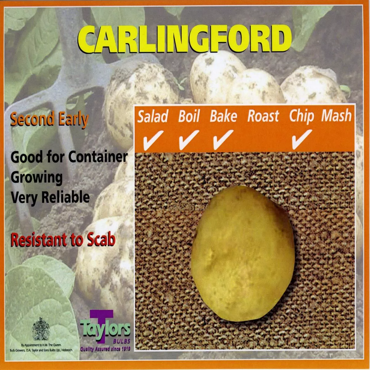 10 CARLINGFORD