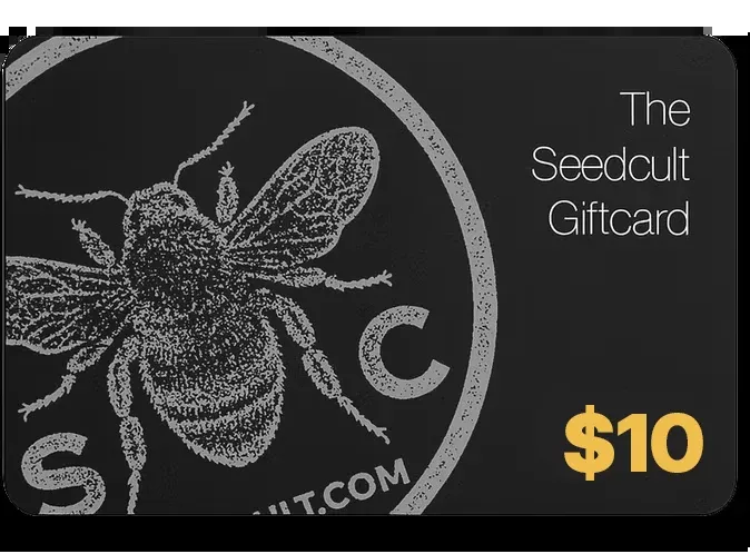 10 Gift Card