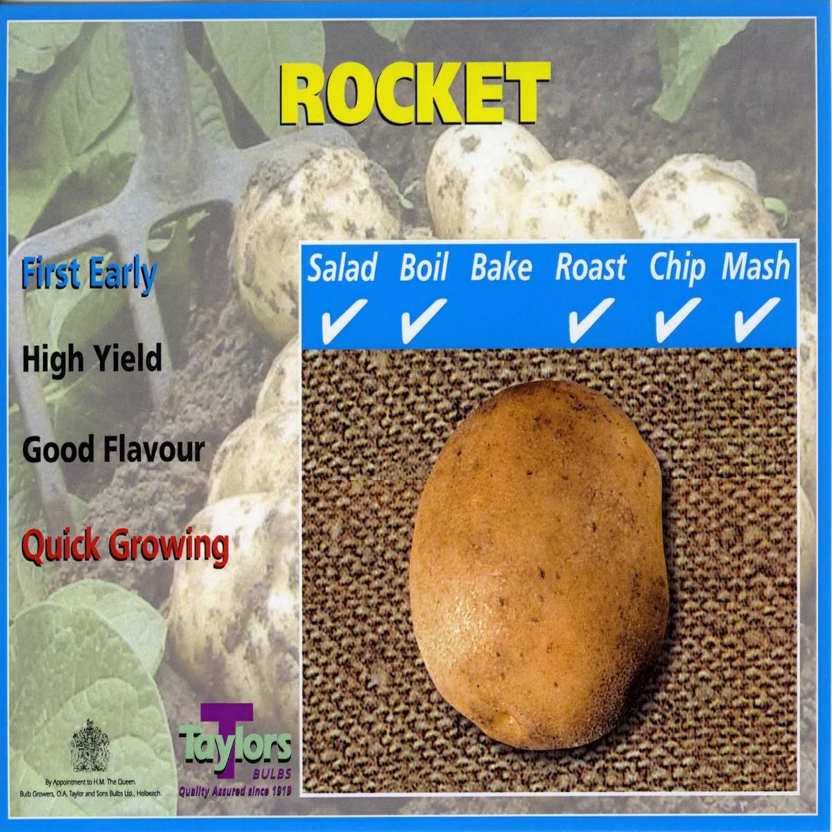 10 ROCKET