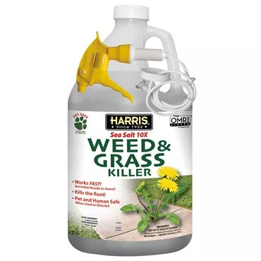 128OZ SEA SALT WEED GRASS KLR