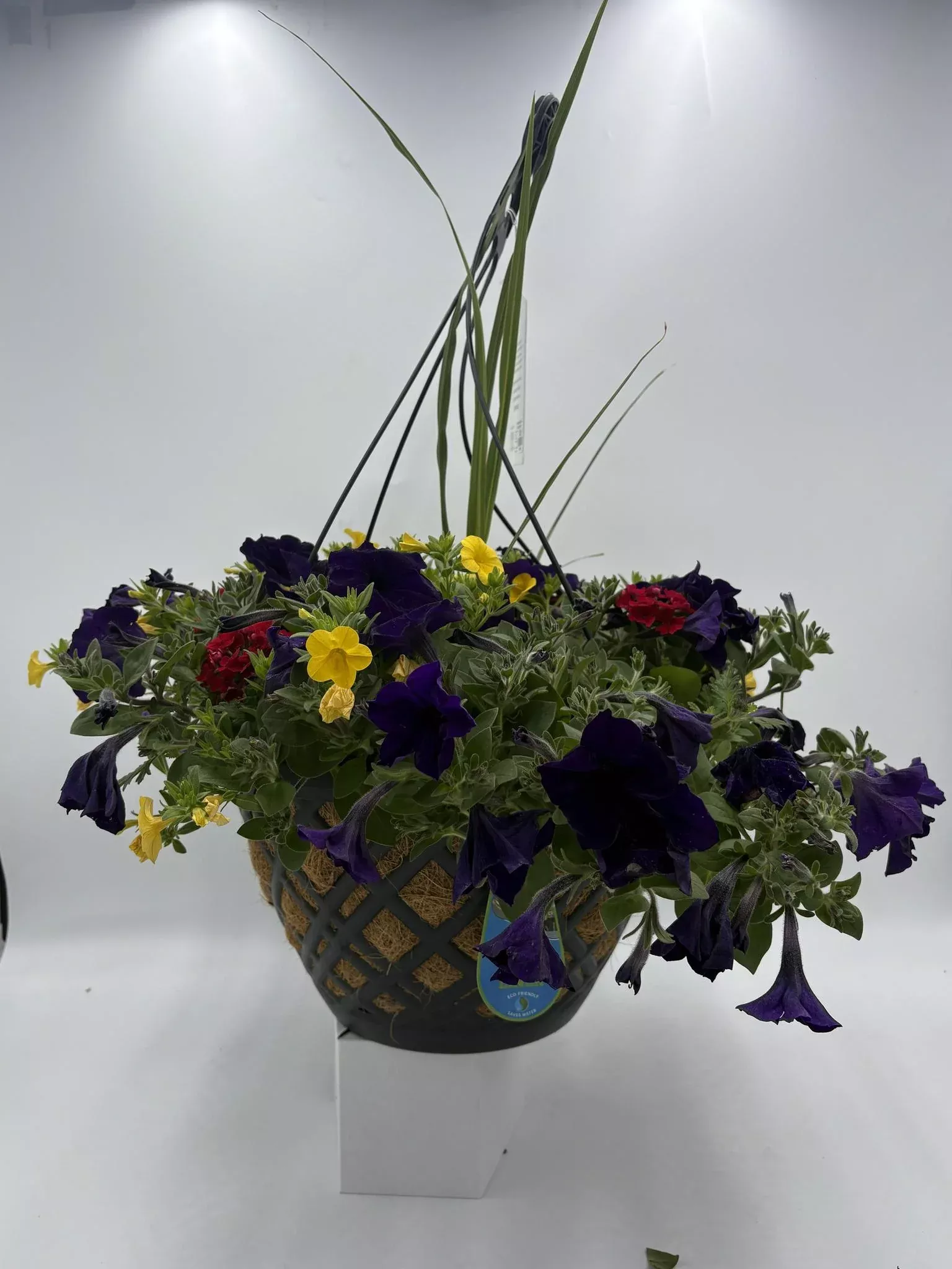14" MB Combination (Cocoa Liner Hanging Basket)