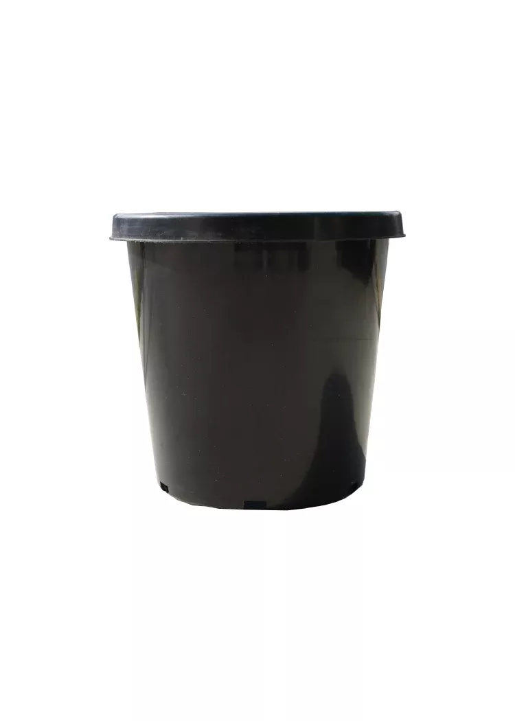 15 Gallon Pot