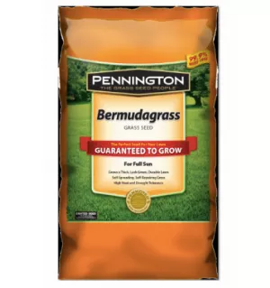 15LB Bermuda Grass