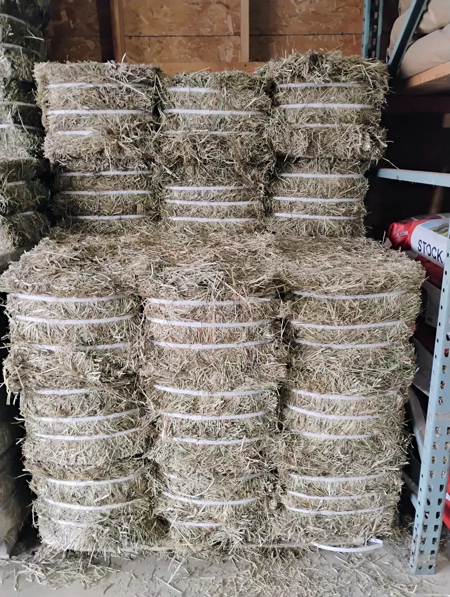 1st Cut Compressed Hay