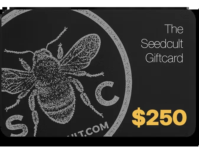 250 Gift Card