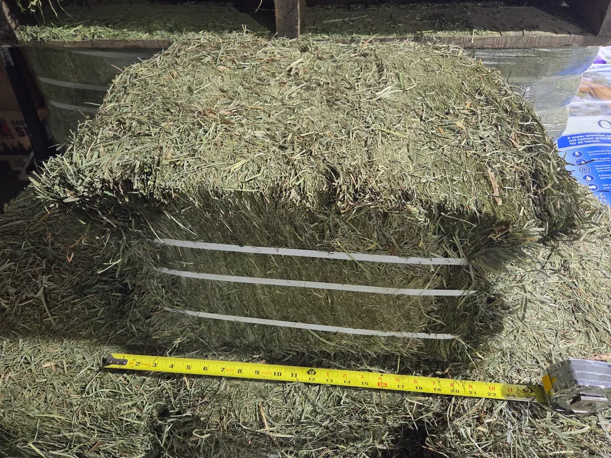 2nd Cut Compressed Hay