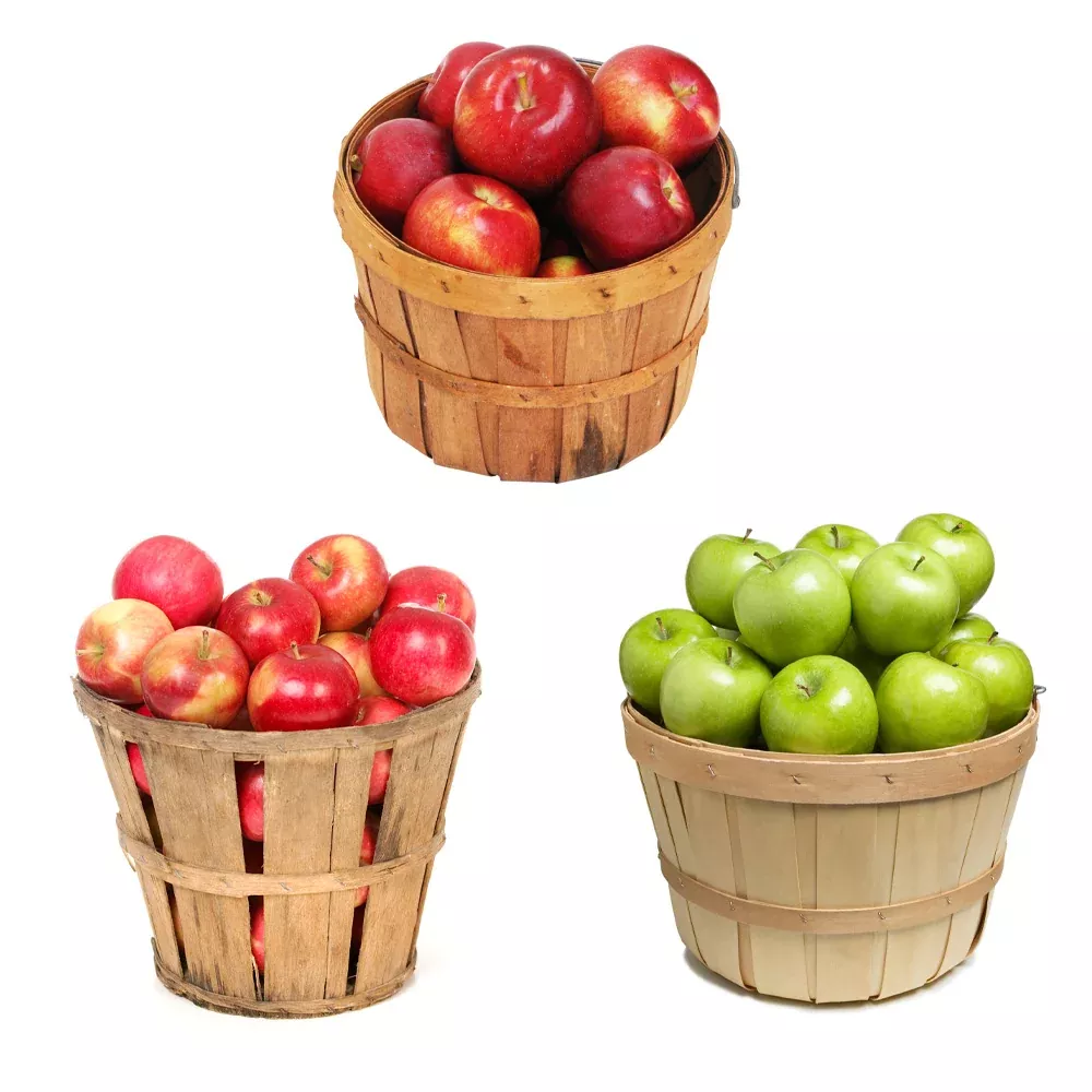 3 in 1 Apple Tree