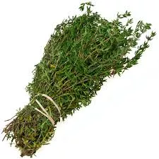 4" Chef Jeff's Herbs Thyme English