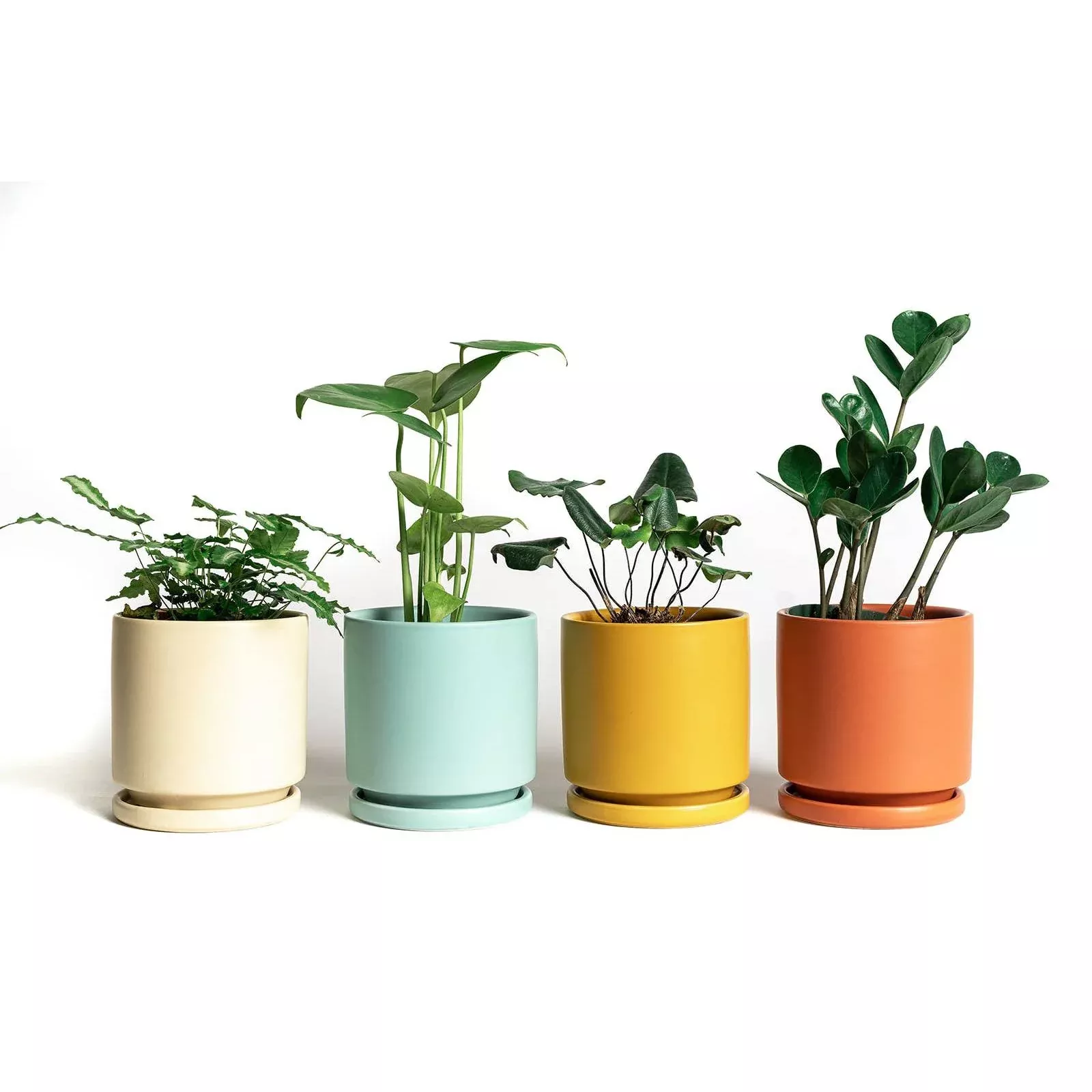 6.5" Gemstone Cylinder Pots with Water Saucers
