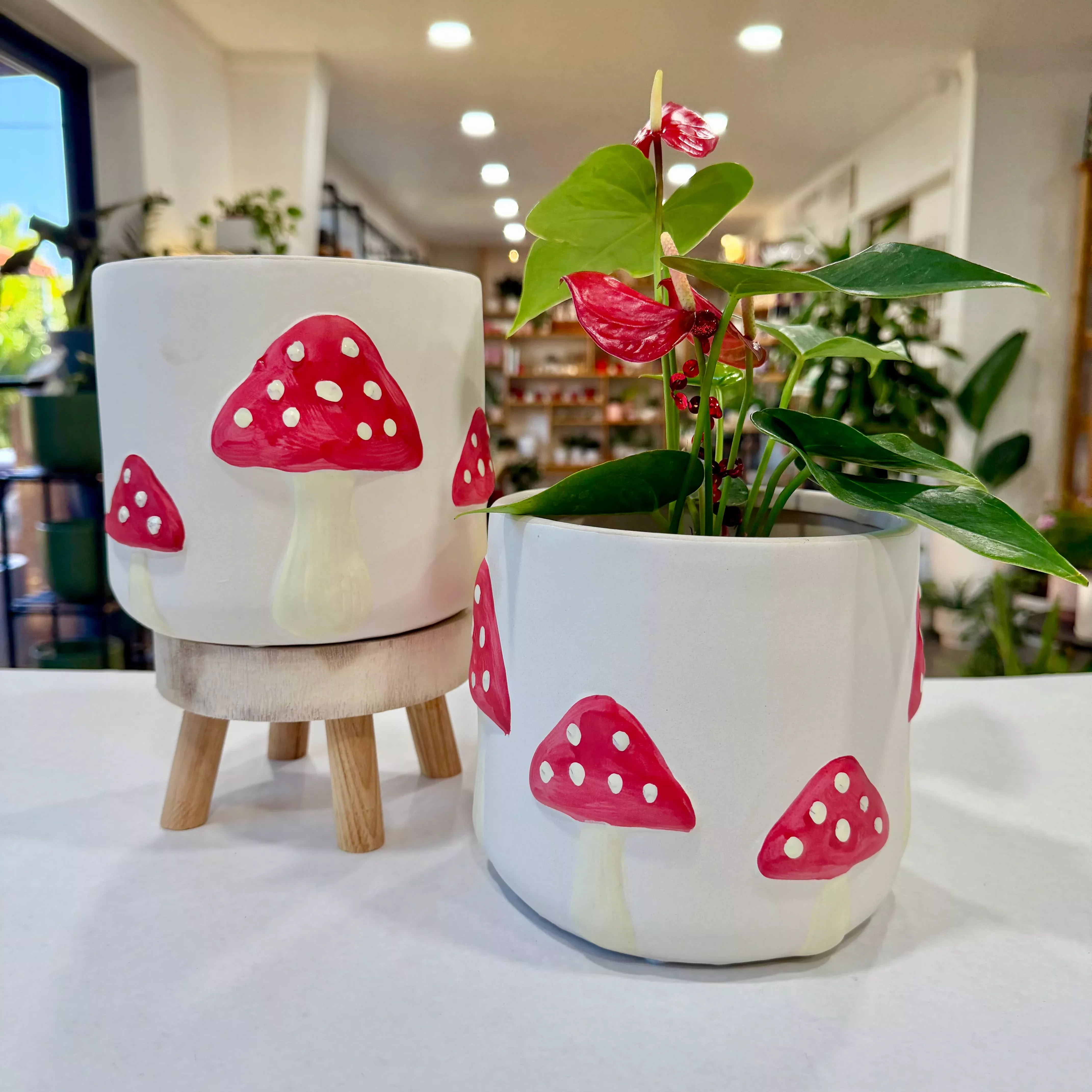 6" Mushroom Planter