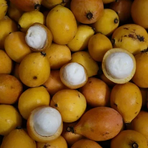 Achacha (Achachairú)