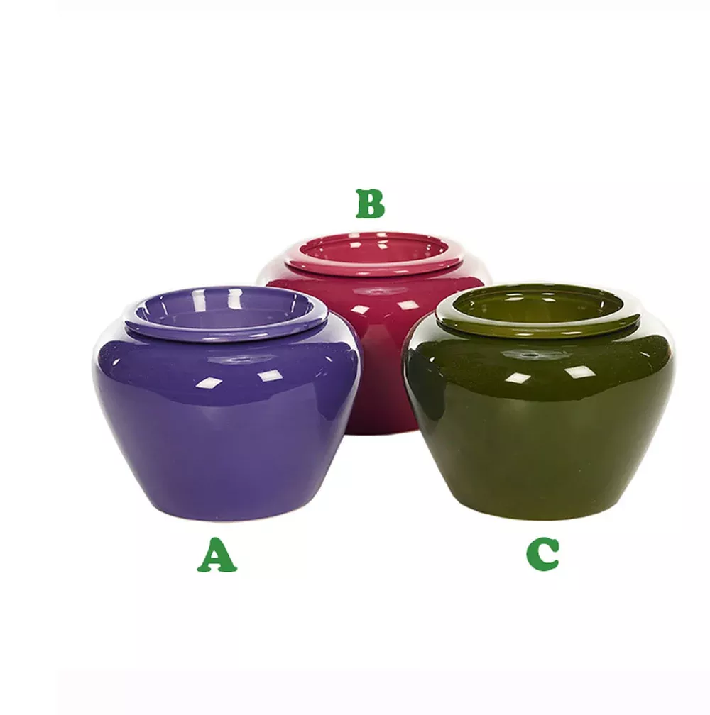 African Violet Pot, Assorted & Sold Separately | Napco