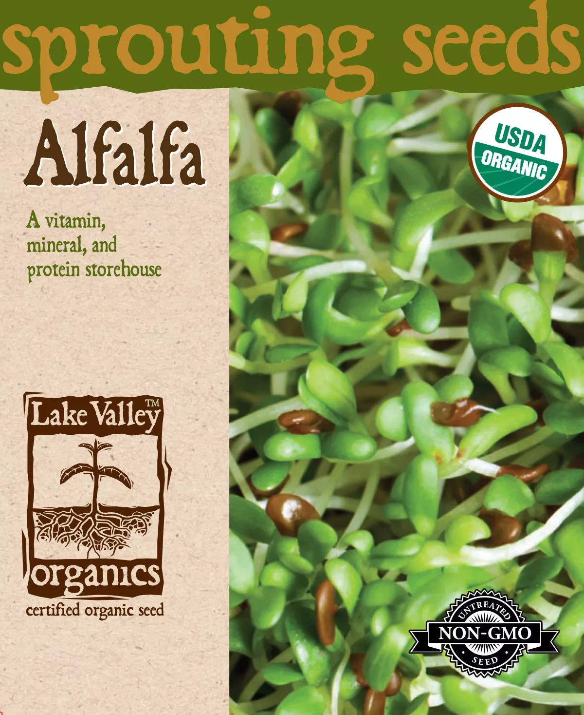 Alfalfa – Item #4369
