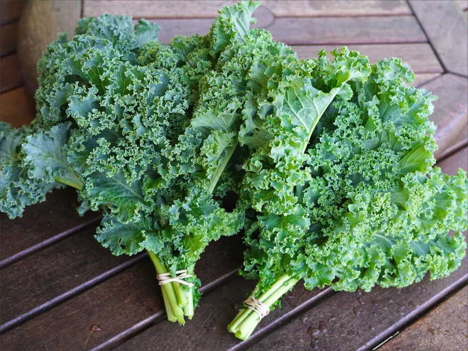 Alive Vates Kale Seeds
