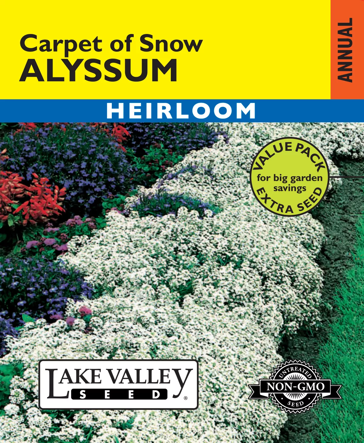 Alyssum Carpet Of Snow – Item #492