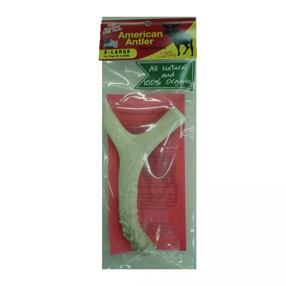 American Antler, X-Large
