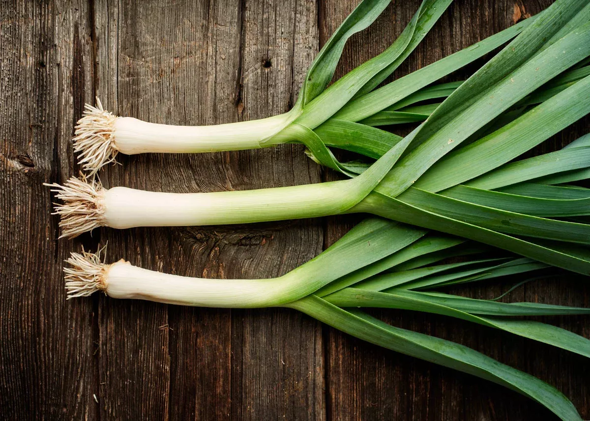 American Flag - Organic Leek Seeds