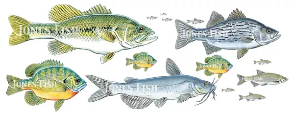 Angler's Choice Premier Stocking Package