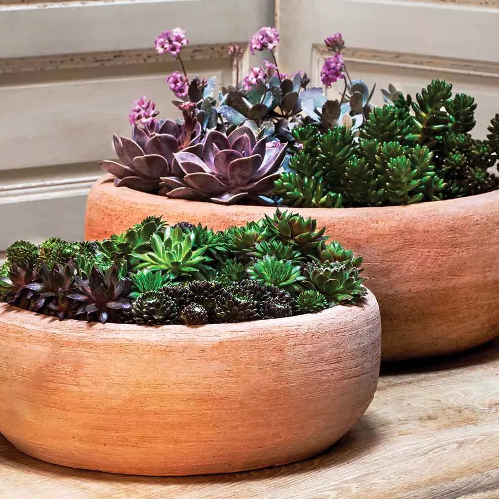 Annalise Planter Set