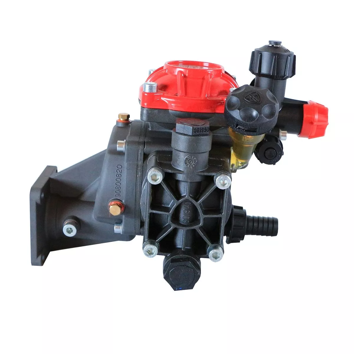 Annovi Reverberi AR252-GR-GCI5/8 Diaphragm Pump with Gearbox and Regulator