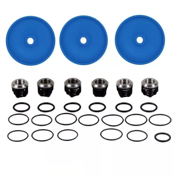Annovi Reverberi AR403 / AR303 Diaphragm Pump Repair Kits