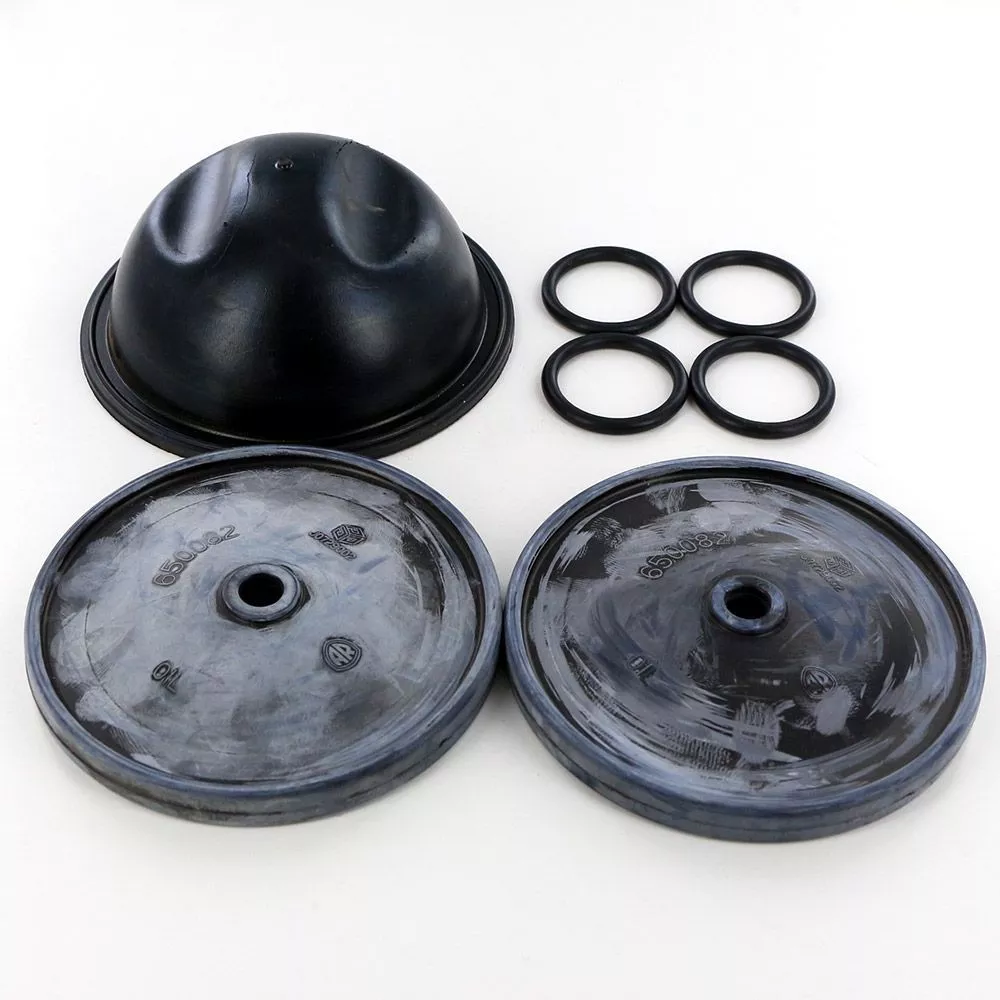Annovi Reverberi AR50 Diaphragm Pump Repair Kits