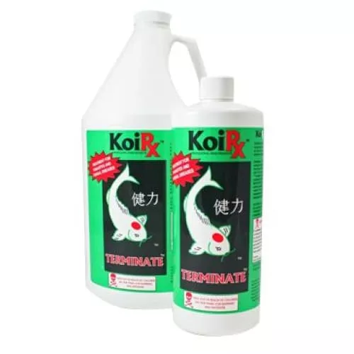 AQUA MEDS KoiRx™ Terminate™ Koi Treatment for Pond Parasites