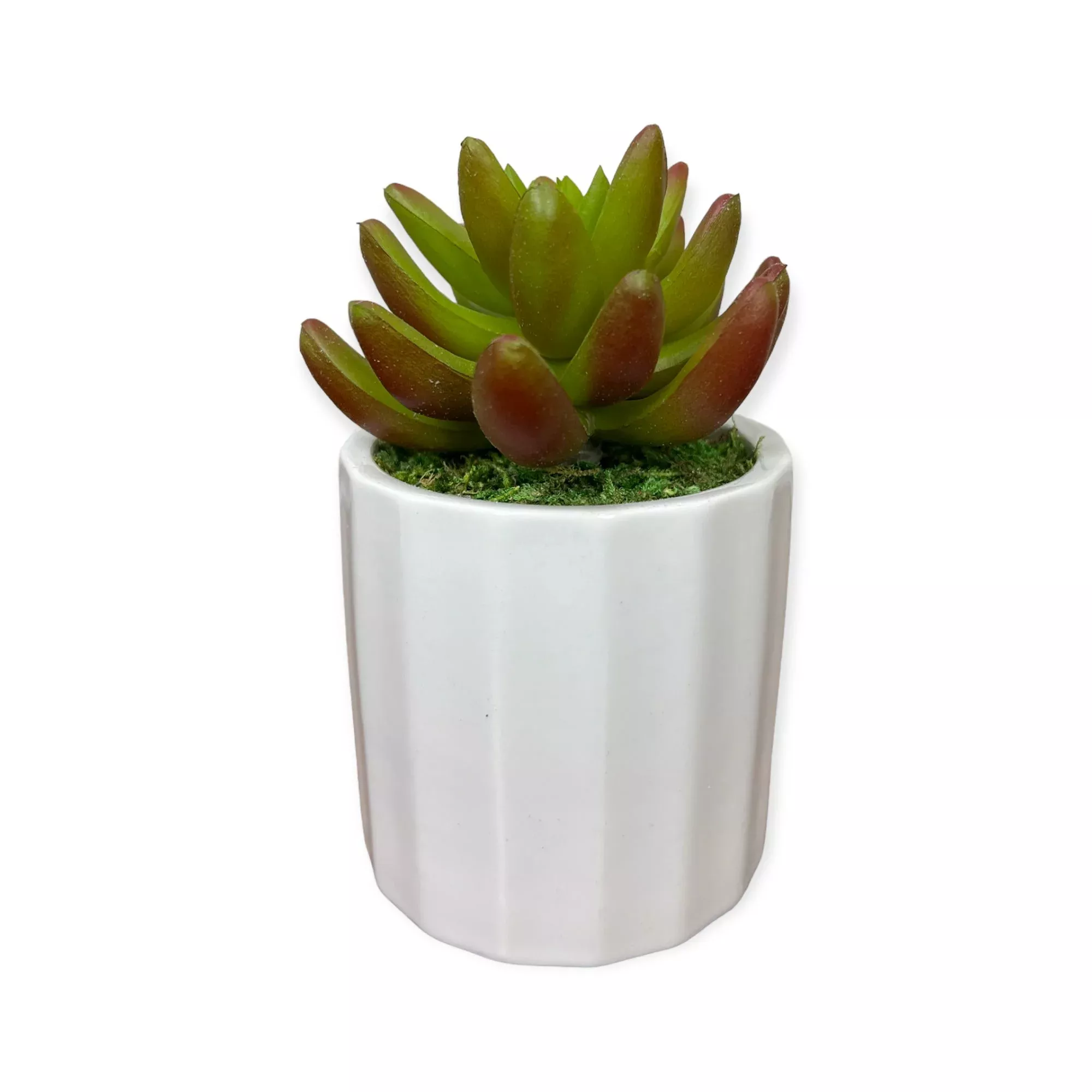Artificial : Gorgeous Succulent in Ceramic Pot