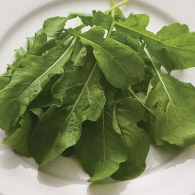 Arugula- 1 bunch
