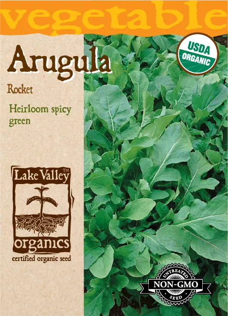 Arugula Rocket – Item #573