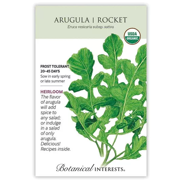 Arugula seeds 'Rocket Astro'