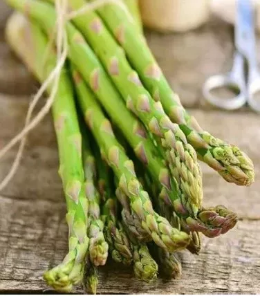 Asparagus Jersey Knight Bulb