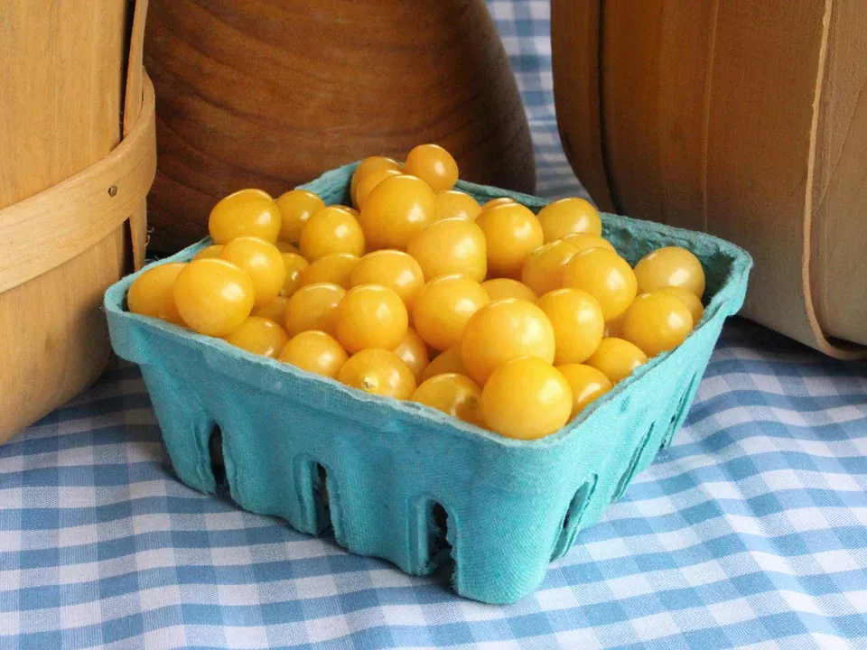 Aunt Molly's Ground Cherry Seeds