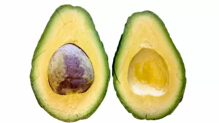 Avocado Tree Utuado Dwarf Variety Grafted