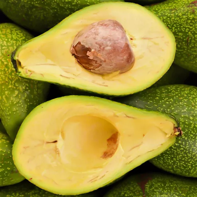 Avocado
