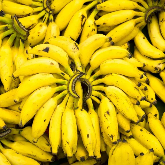 Baby Banana (Mysore / Manzano Banana)