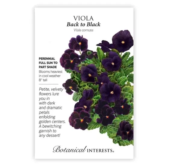 'Back to Black' Viola Seeds