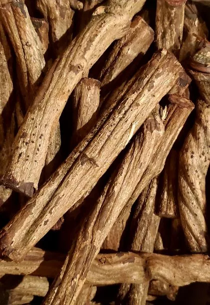 Banisteriopsis Caapi (Yage, HAWAIIAN Yellow) Whole Vine Segments