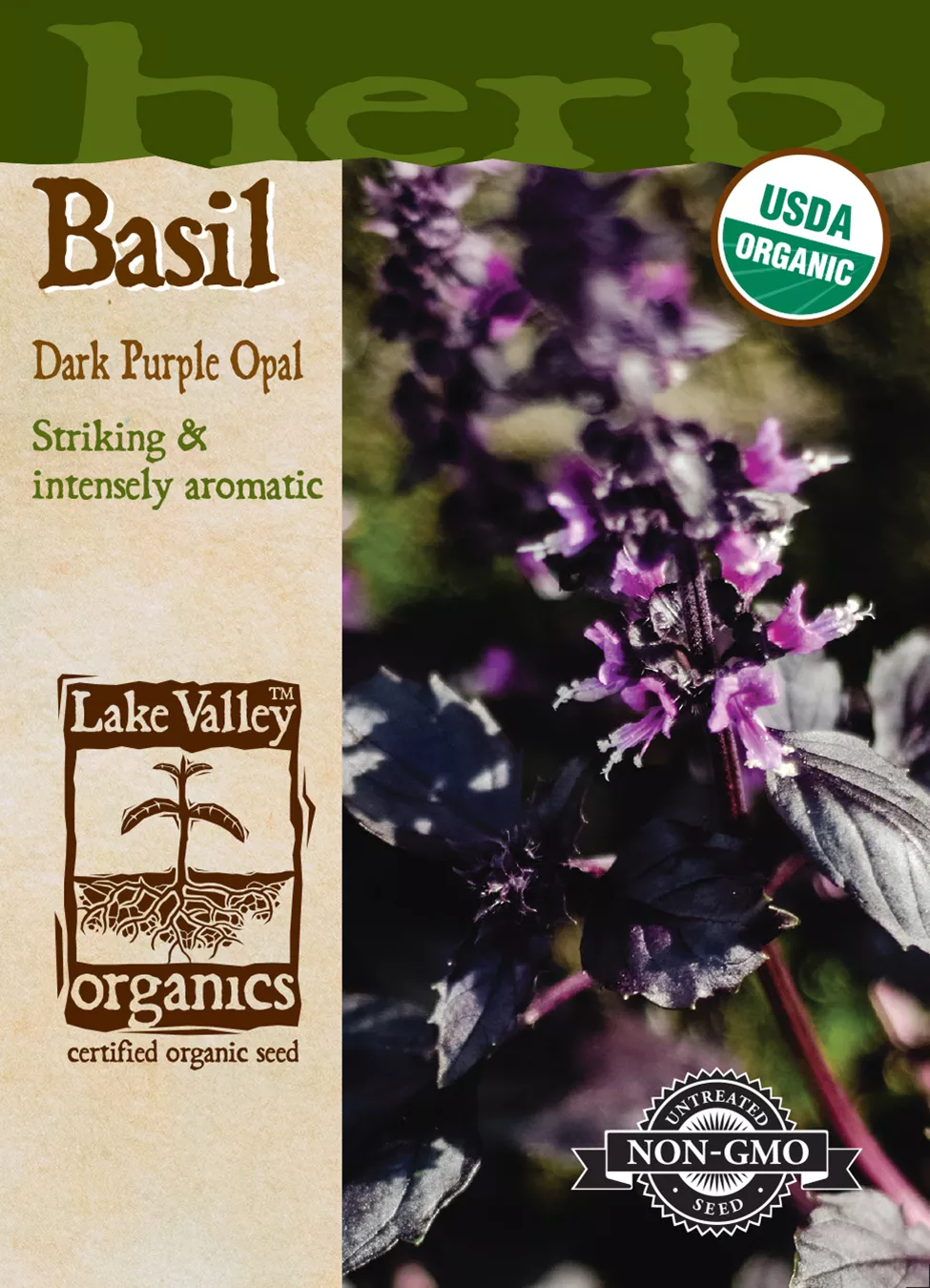 Basil Purple Dark Opal – Item #4684