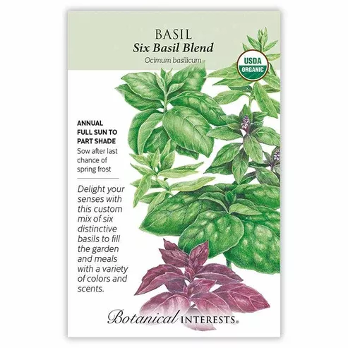 Basil 'Six Basil Blend' Organic