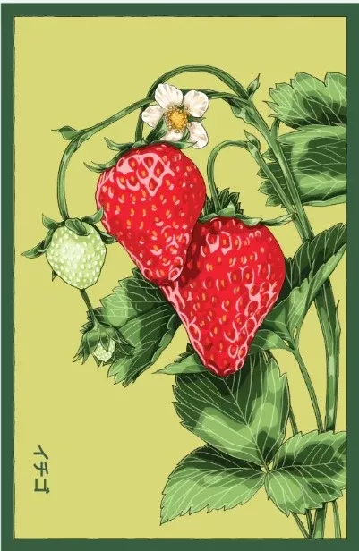Basket Kisses Strawberry Seeds Packet