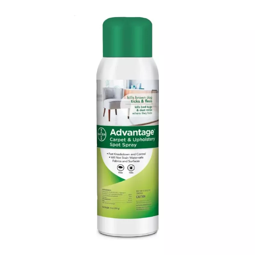 Bayer Advantage Carpet & Upholstery Spot Spray, 16 oz