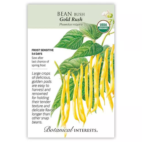 Bean Bush 'Gold Rush'
