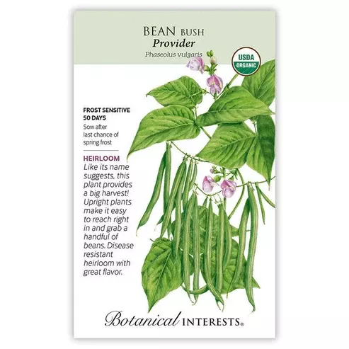 Bean Bush 'Provider'