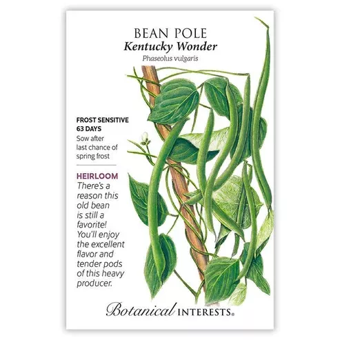 Bean Pole 'Kentucky Wonder'