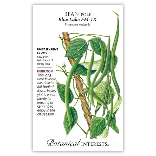 Bean Pole seeds, "Blue Lake FM-1K"