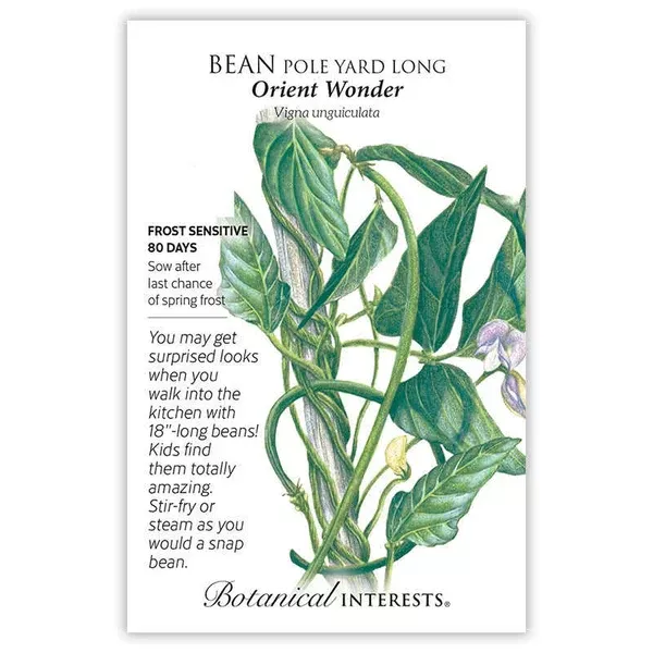 Bean Pole seeds 'Yardlong Oriental Wonder'