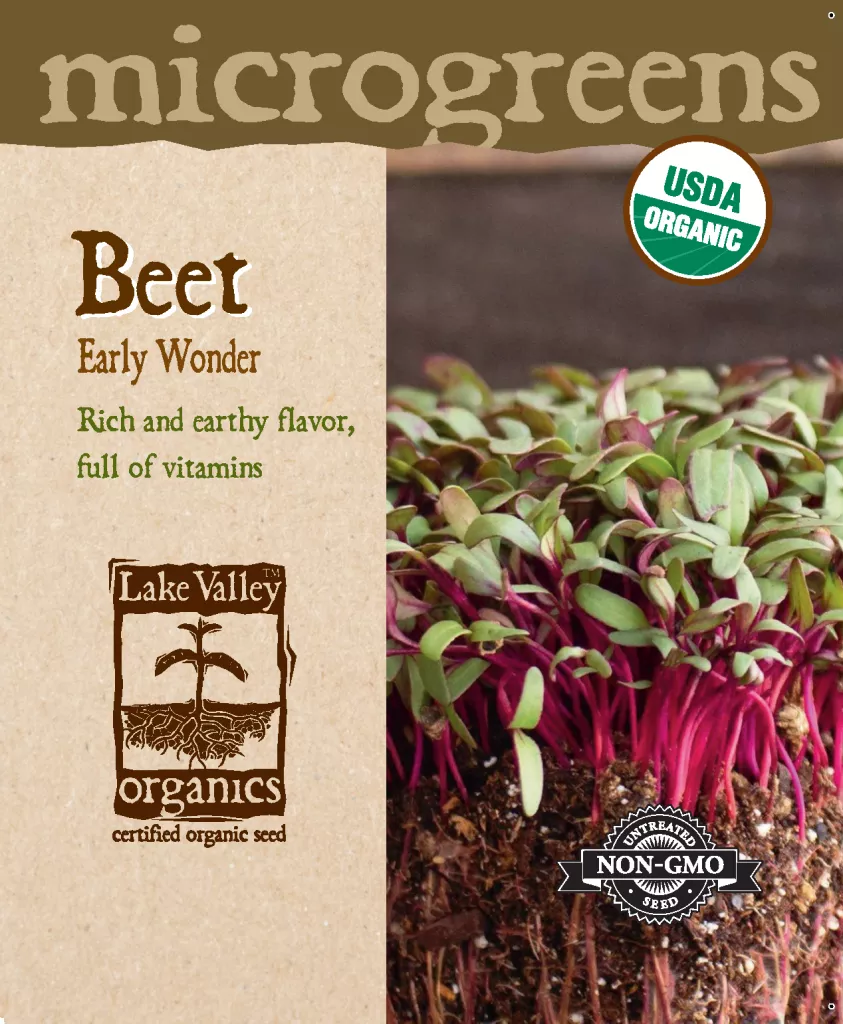 Beet Early Wonder – Item #4735